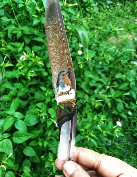 A tiny colourful bird painted along a natural feather