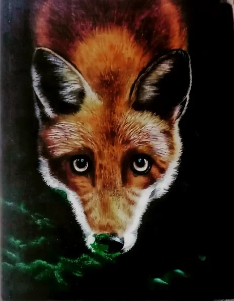 A vivid red fox emerging from a dark woodland ground